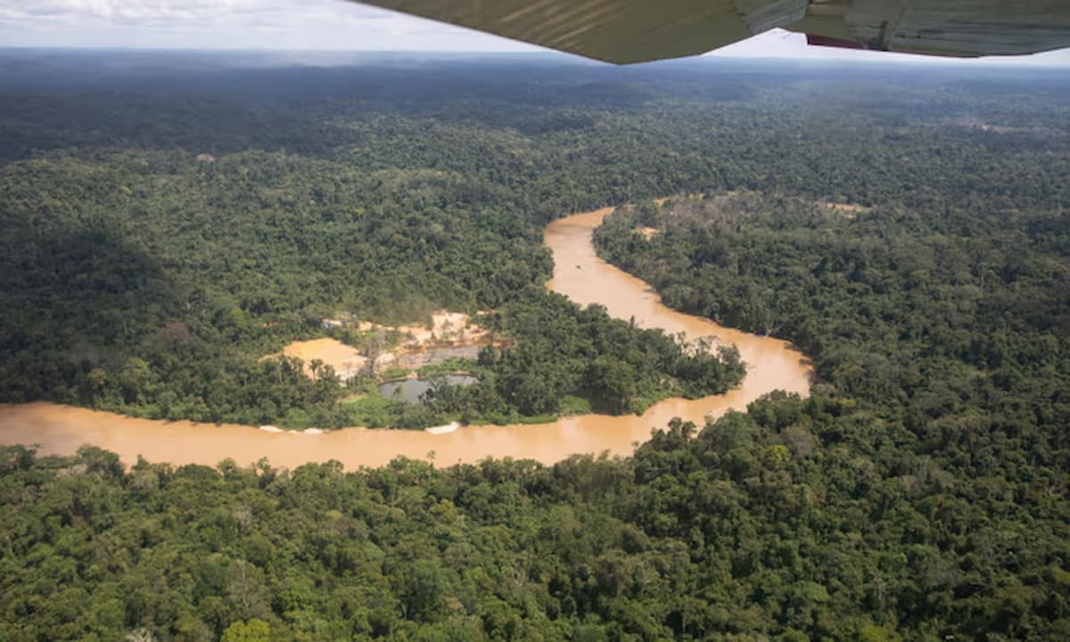 La selva amazónica podría alcanzar punto de inflexión en 2050, advierten científicos