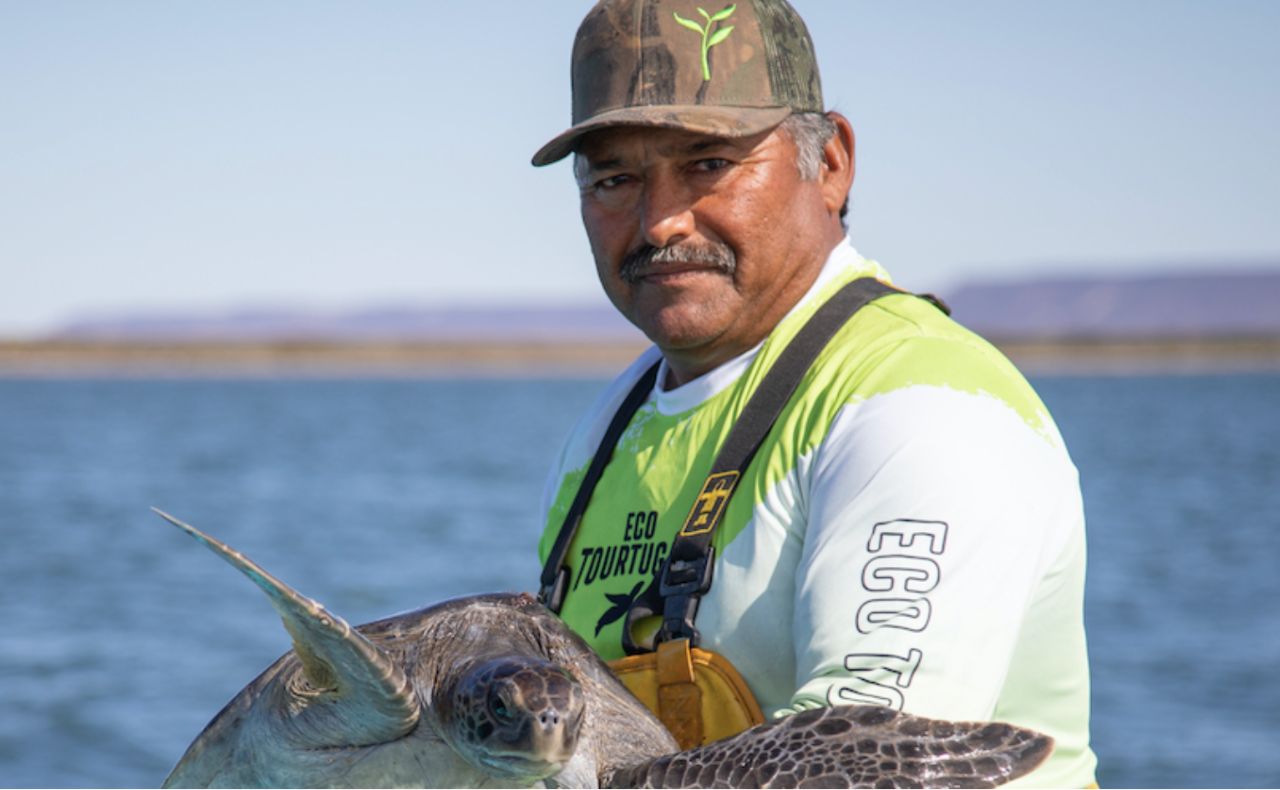El emprendimiento de una familia de pescadores que ayuda a conservar las tortugas marinas