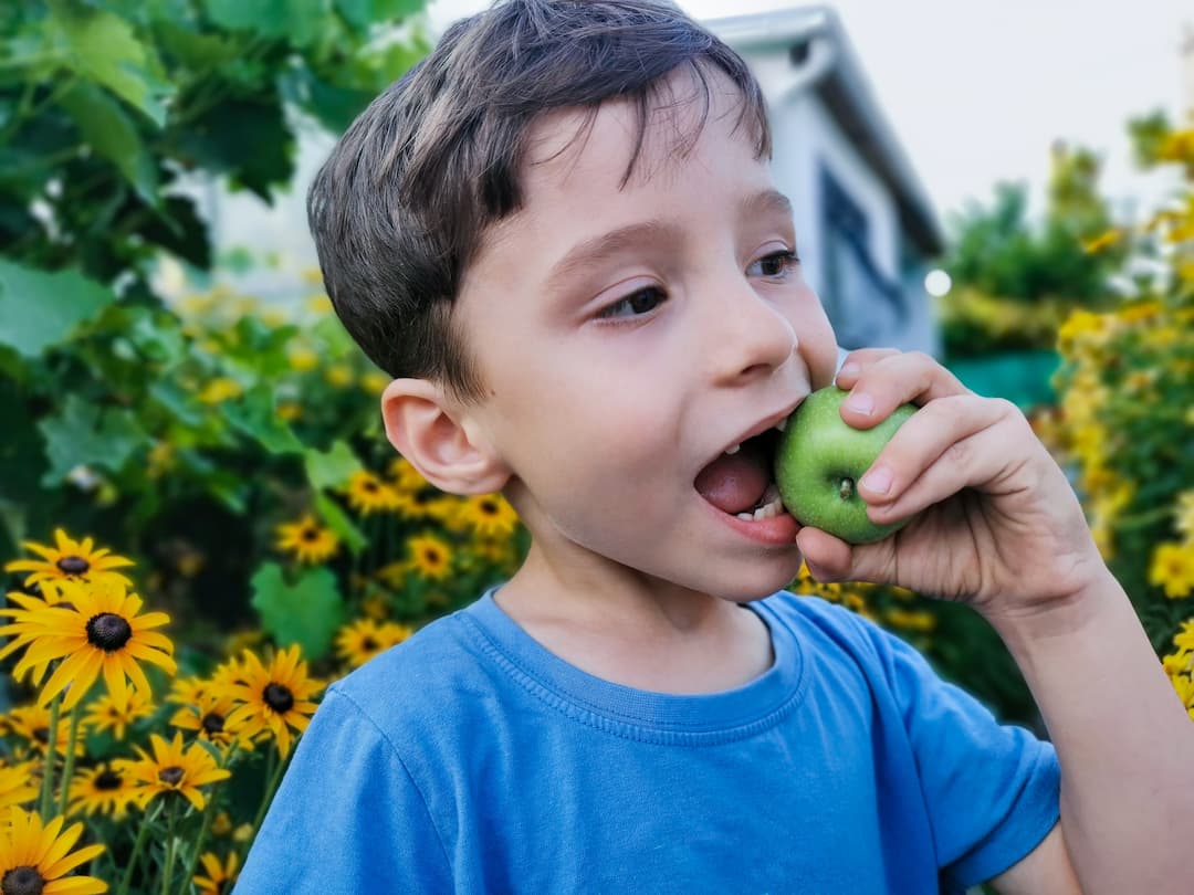 ¿Cómo lograr que los niños coman frutas?