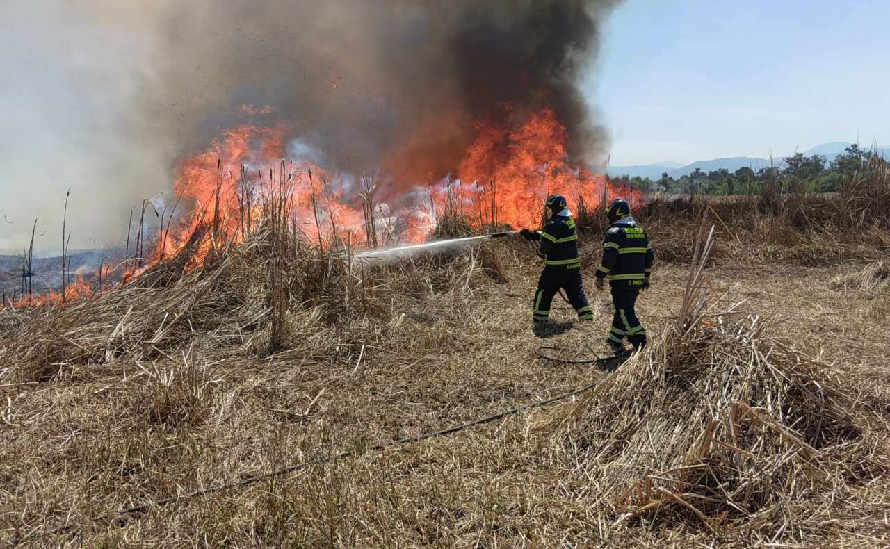 Incendio en Xochimilco: el fuego consume pastizales en Cuemanco, CDMX