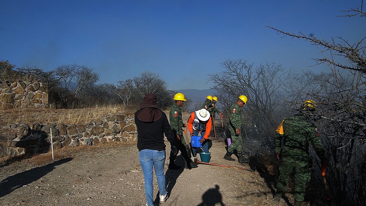 Incendio forestal afecta 30 hectáreas en la zona arqueológica de Monte Albán, Oaxaca