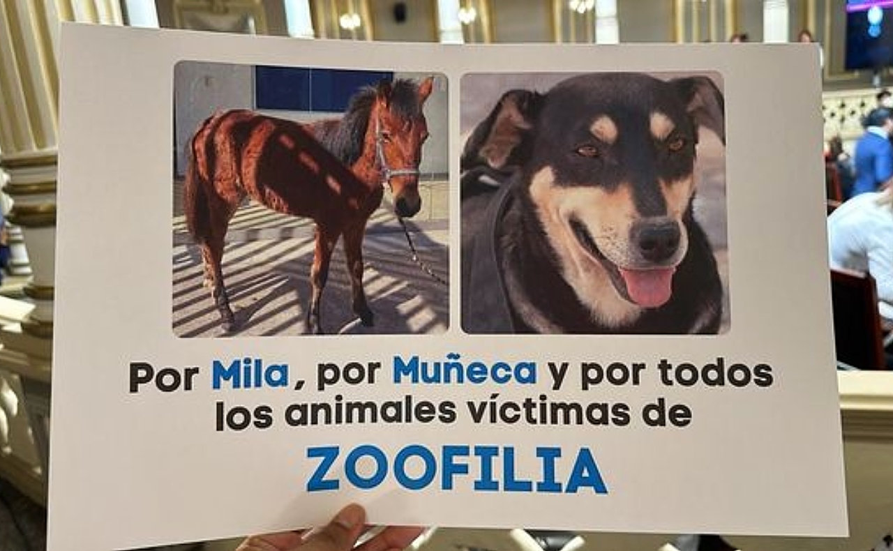 Congreso de Puebla tipifica la zoofilia como delito tras los casos de ‘Mila’ y ‘Muñeca’