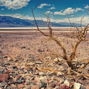 Sequía en México: 75.4% del territorio tiene afectaciones
