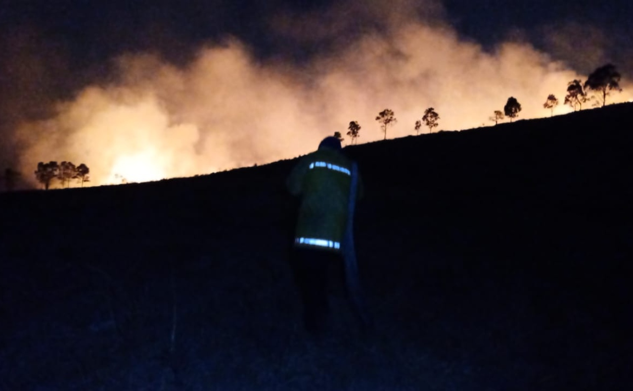 Incendio en Tlalnepantla: se quema reserva ecológica de la Sierra de Guadalupe