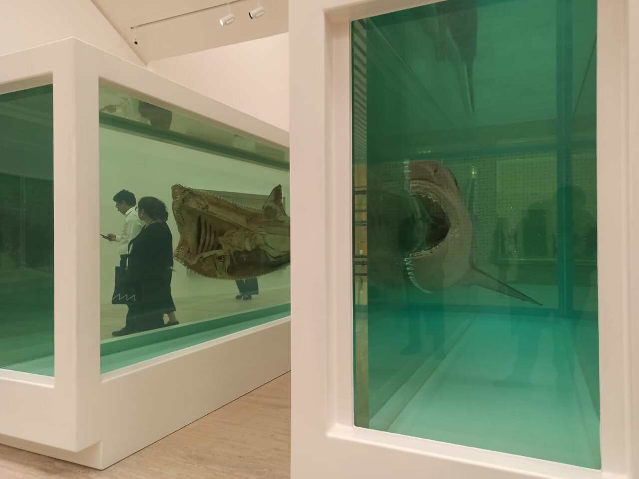 No vamos a comentar de otras exposiciones: Museo Jumex sobre polémica de Damien Hirst