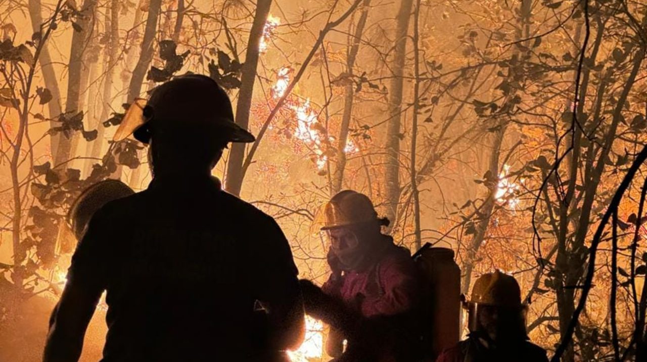 Incendio en Oaxaca: fuego consume árboles en Huajuapan de León
