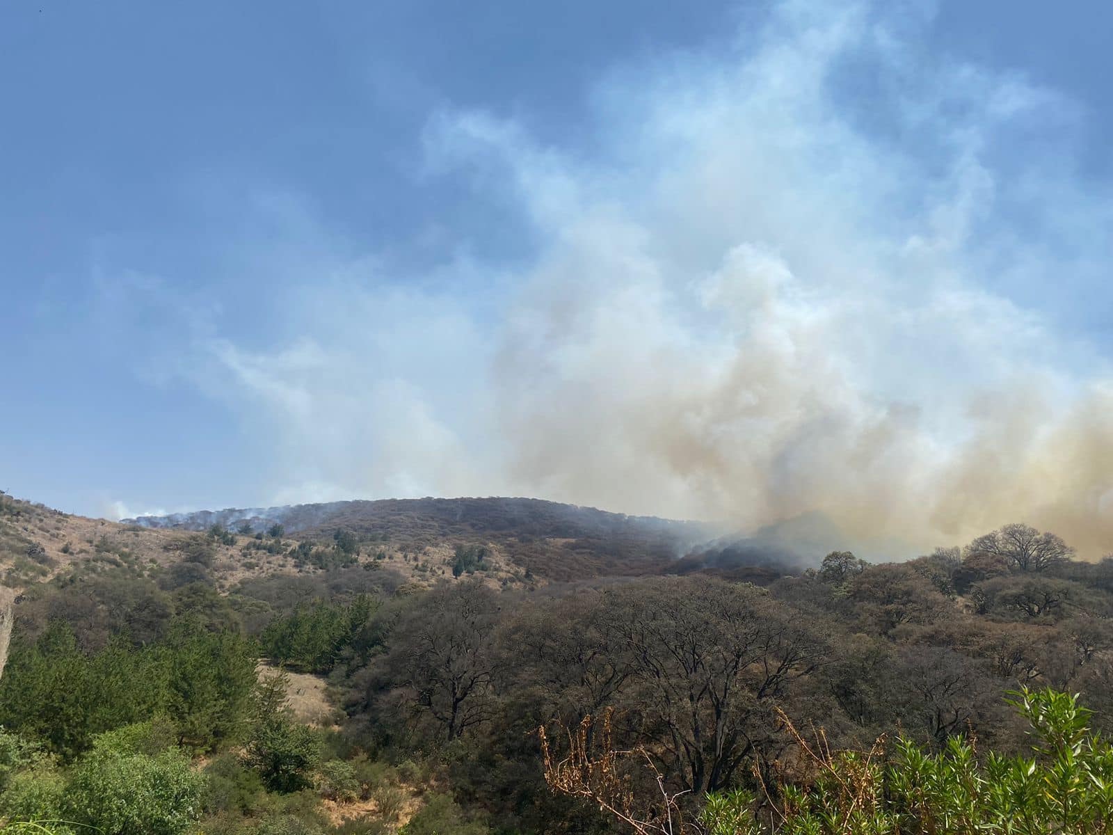Incendio consume el cerro de las Biznagas en Atizapán de Zaragoza, Edomex
