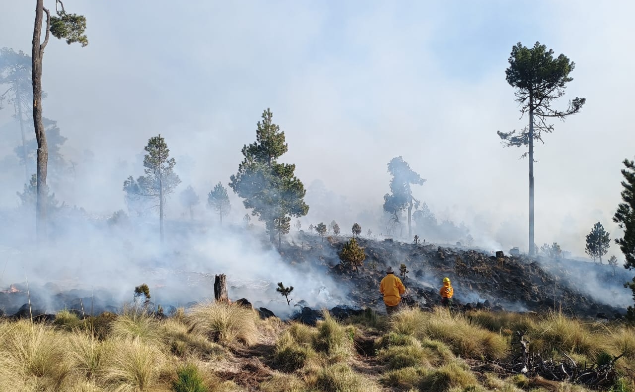 Incendio en el Nevado de Toluca: controlan fuego en Santa María del Monte