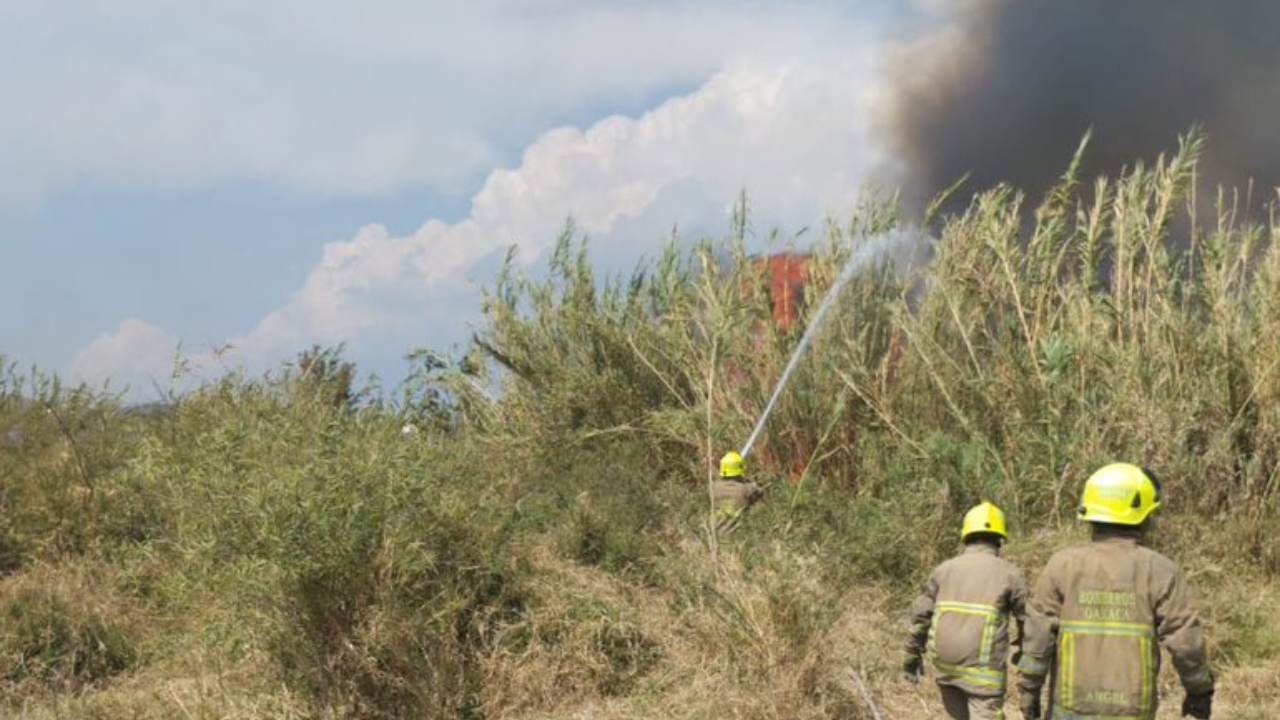 Bomberos atienden incendio en pastizales de Santa Cruz Xoxocotlán, Oaxaca