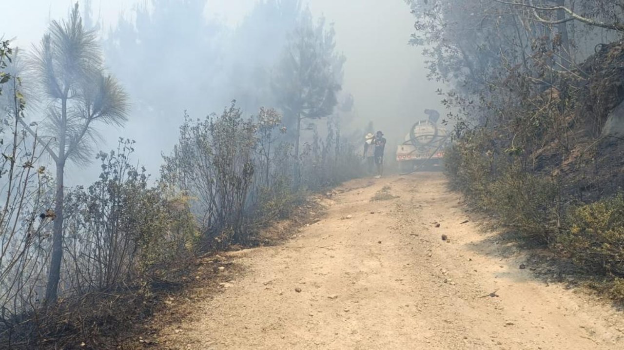 Incendios forestales en Veracruz: siniestros afectan 620 hectáreas