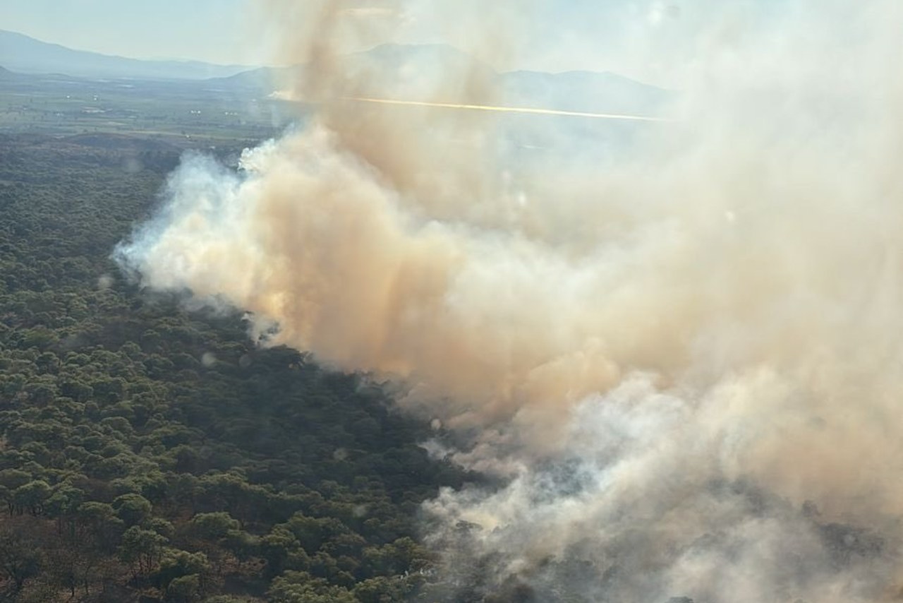 Incendio forestal en Bosque La Primavera: activan alerta atmosférica en Jalisco