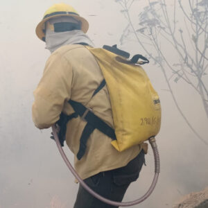 Un incendio consume paraje del Bosque de la Primavera en Zapopan, Jalisco