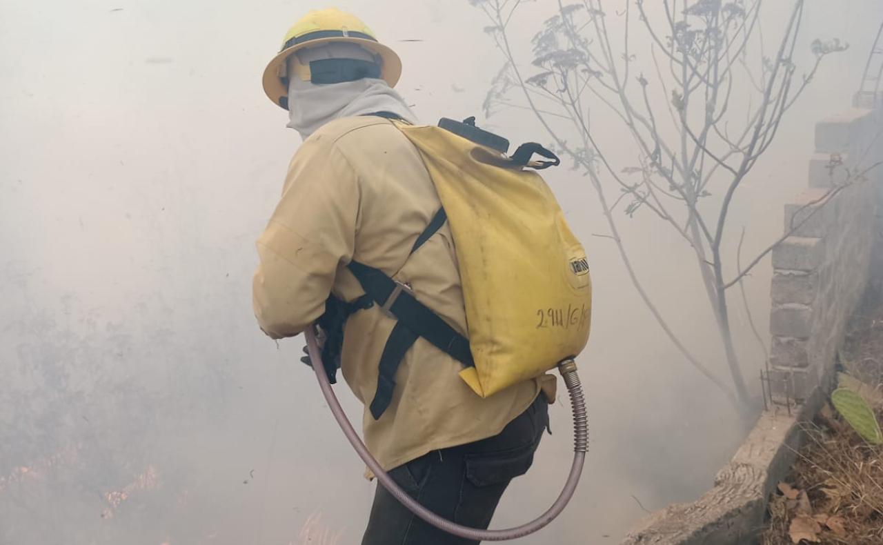 Un incendio consume paraje del Bosque de la Primavera en Zapopan, Jalisco
