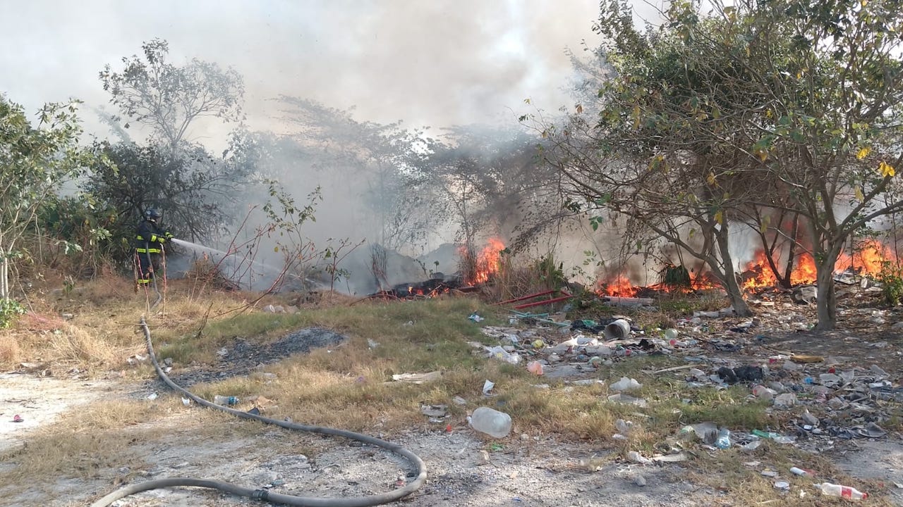 Incendio en Playa del Carmen: llamas consumen basura y maleza