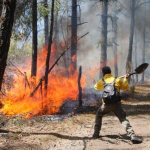 Incendios forestales en Morelos: fuego afecta 817 hectáreas de Áreas Naturales Protegidas