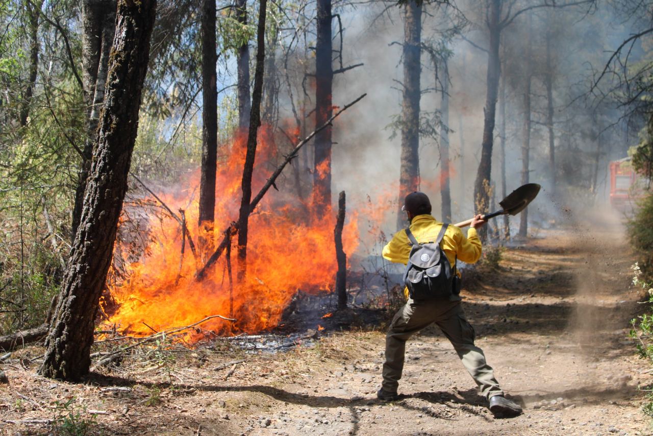 Incendios forestales en Morelos: fuego afecta 817 hectáreas de Áreas Naturales Protegidas