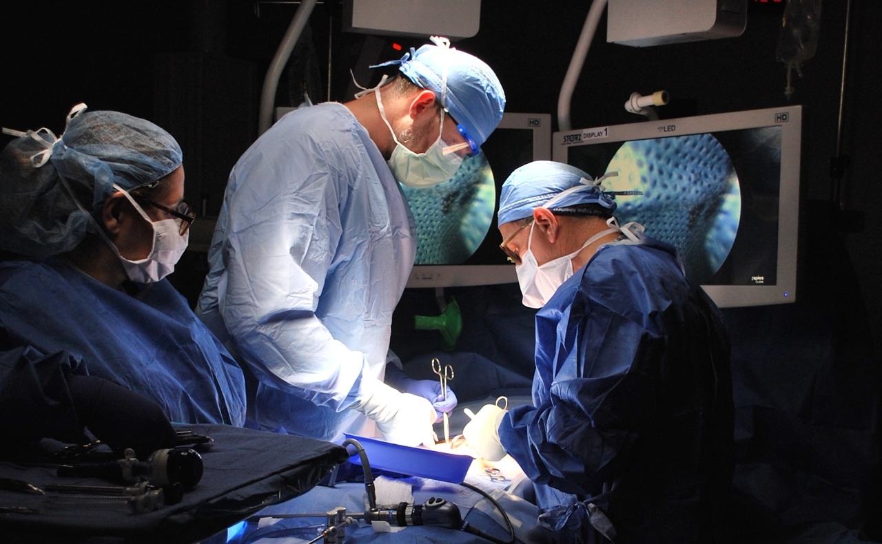 ‘Un nuevo comienzo’: dan de alta a paciente que recibió un trasplante de riñón de cerdo