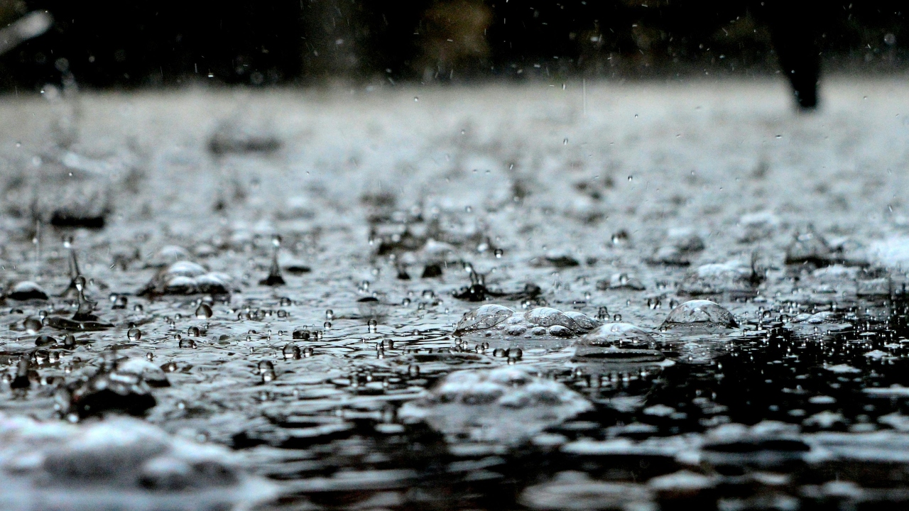 ¿Cuándo inicia la temporada de lluvias este 2024?