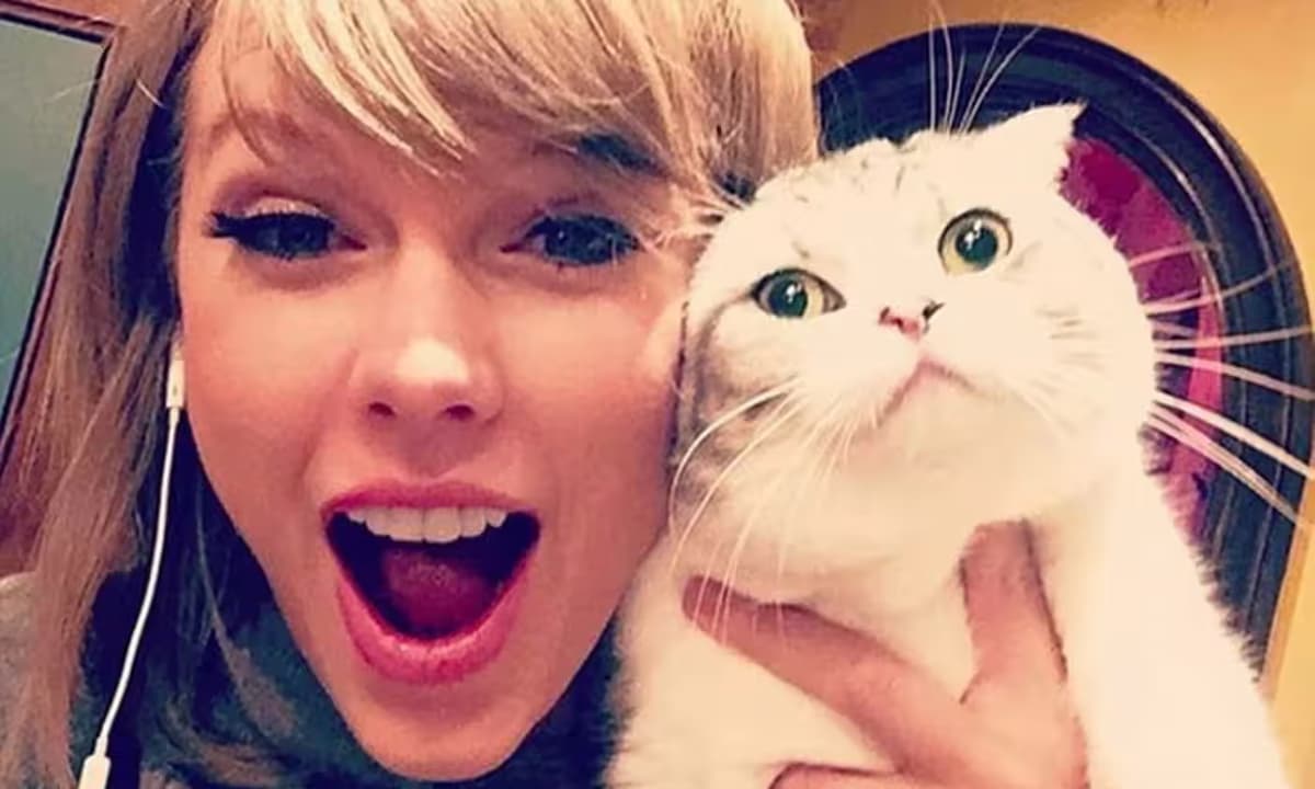Los gatos de Taylor Swift padecen una enfermedad que causa dolor constante, según expertos