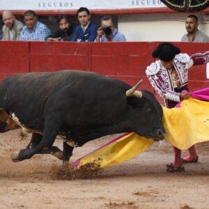 Aplazan audiencia para suspender definitivamente corridas de toros en la CDMX