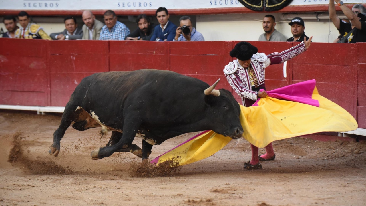 Aplazan audiencia para suspender definitivamente corridas de toros en la CDMX