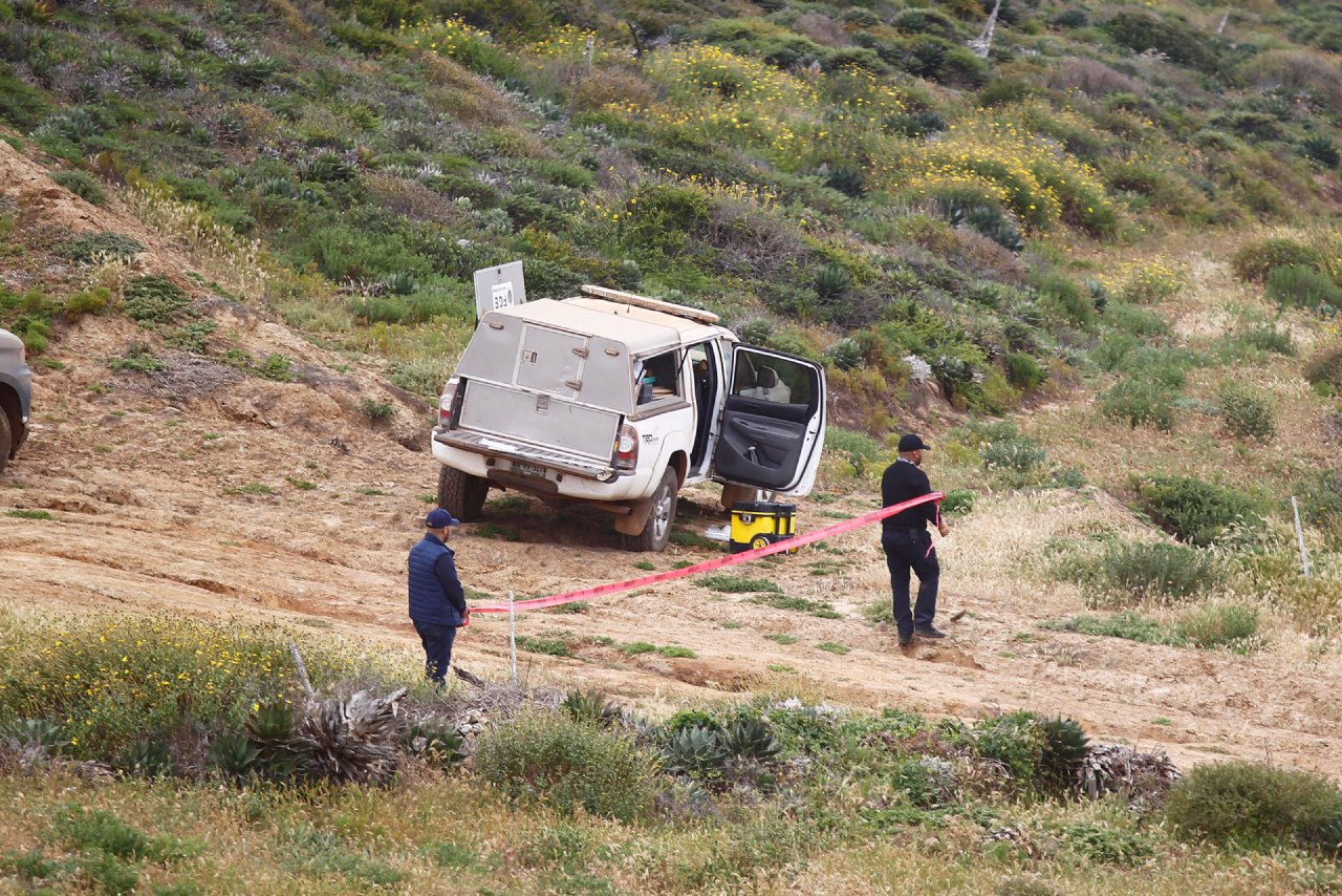 Cuerpos hallados en Baja California fueron encontrados con disparos en la cabeza: Fiscal