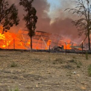 Incendio en aserradero de Etla, Oaxaca, causa desalojo y deja casas dañadas