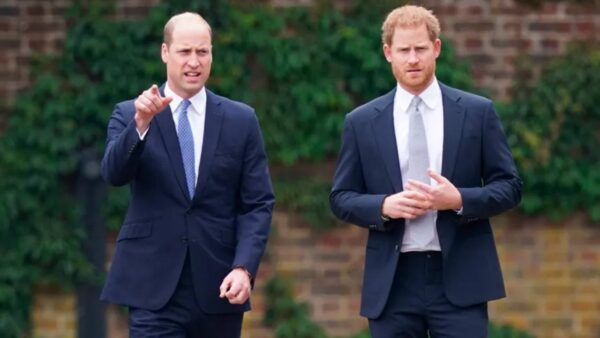 El príncipe Harry y Meghan Markle lanzan un proyecto contra el acoso escolar - harry-y-principe-guillermo-600x338